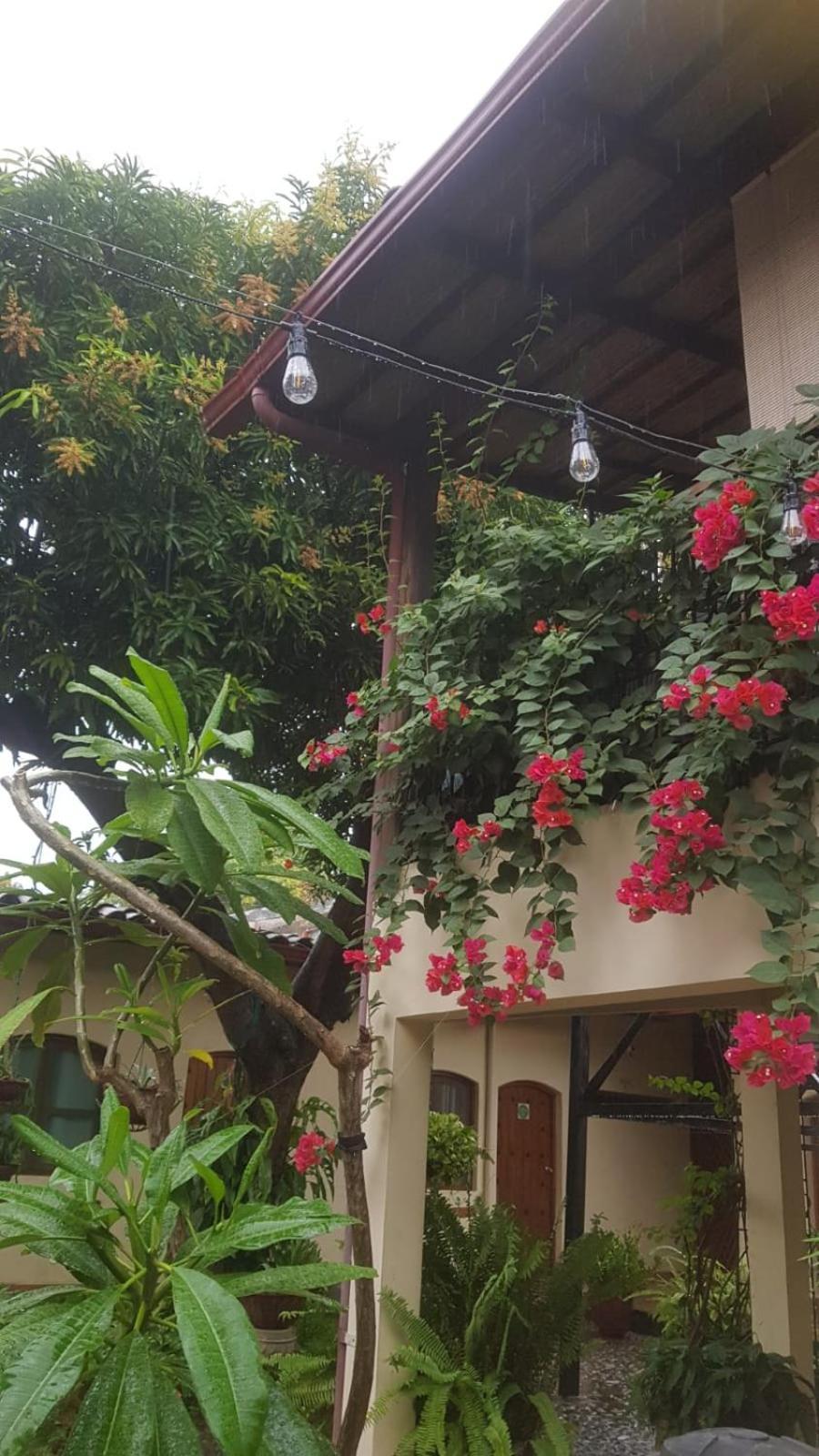 Casa Riverstone León Eksteriør bilde